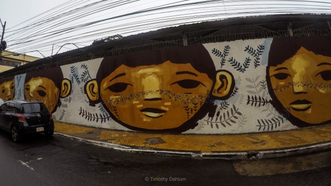 DCIM100GOPROGOPR0230.