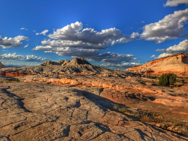 Processed with Snapseed.